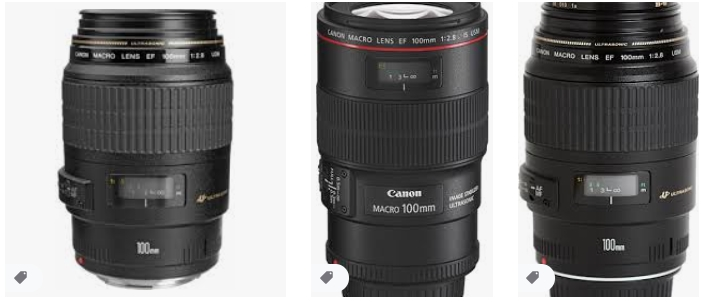 Canon 100 mm EF USM Lens